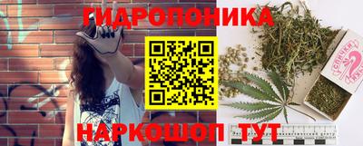 эйфоретик Заволжье